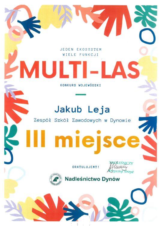 Multi - Las - Jakub Leja - III miejsce..jpg